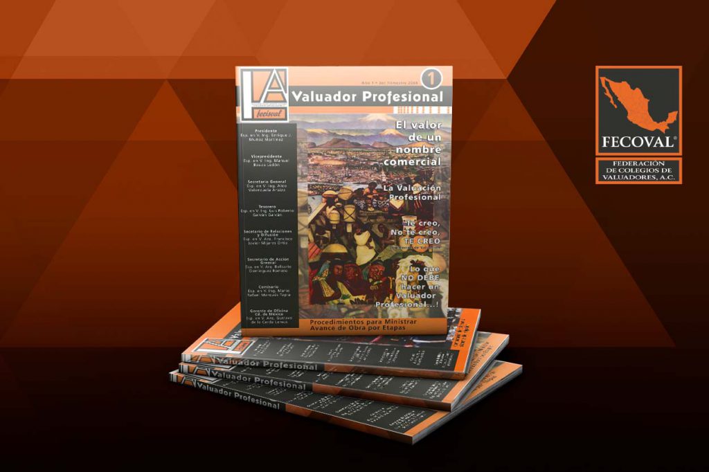 Revista Valuador Profesional – Vol. 1