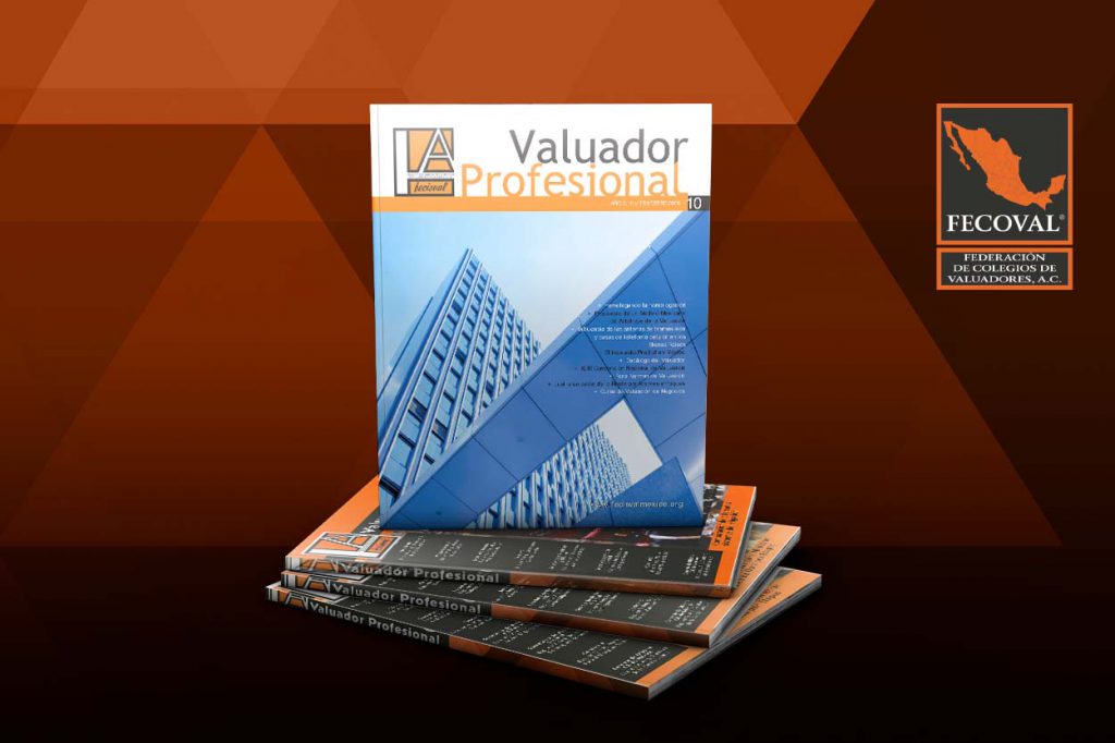 Revista Valuador Profesional – Vol. 10