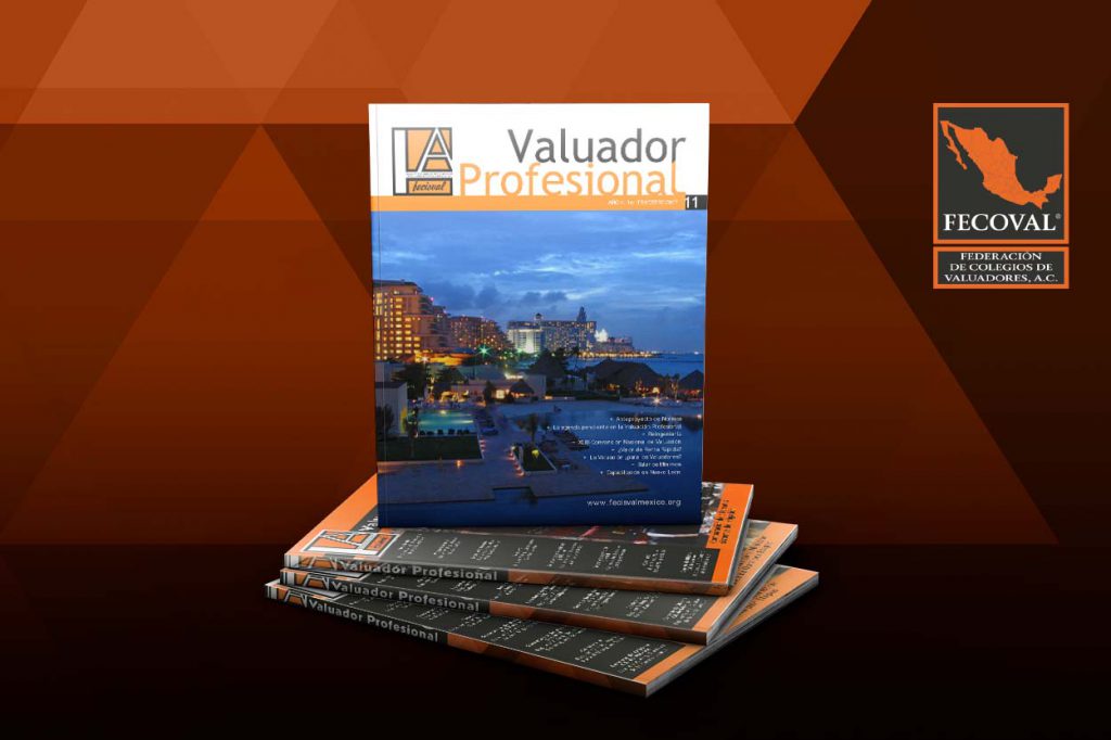 Revista Valuador Profesional – Vol. 11