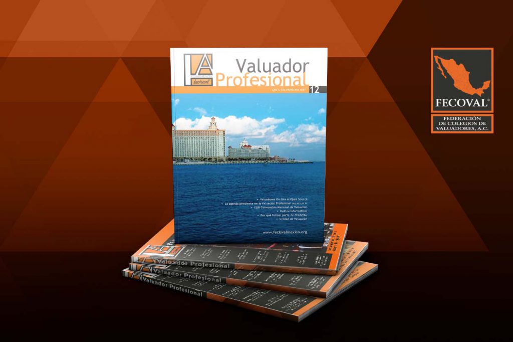 Revista Valuador Profesional – Vol. 12