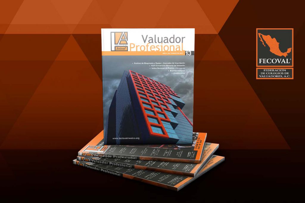 Revista Valuador Profesional – Vol. 13