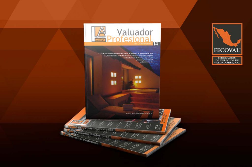 Revista Valuador Profesional – Vol. 14