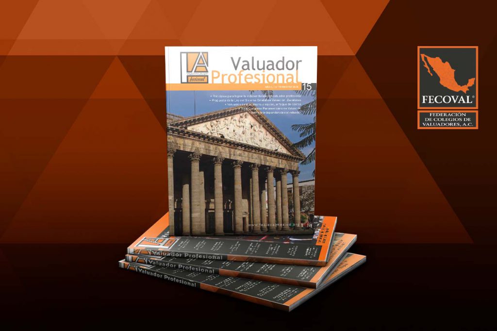 Revista Valuador Profesional – Vol. 15