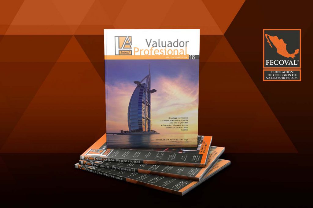 Revista Valuador Profesional – Vol. 16