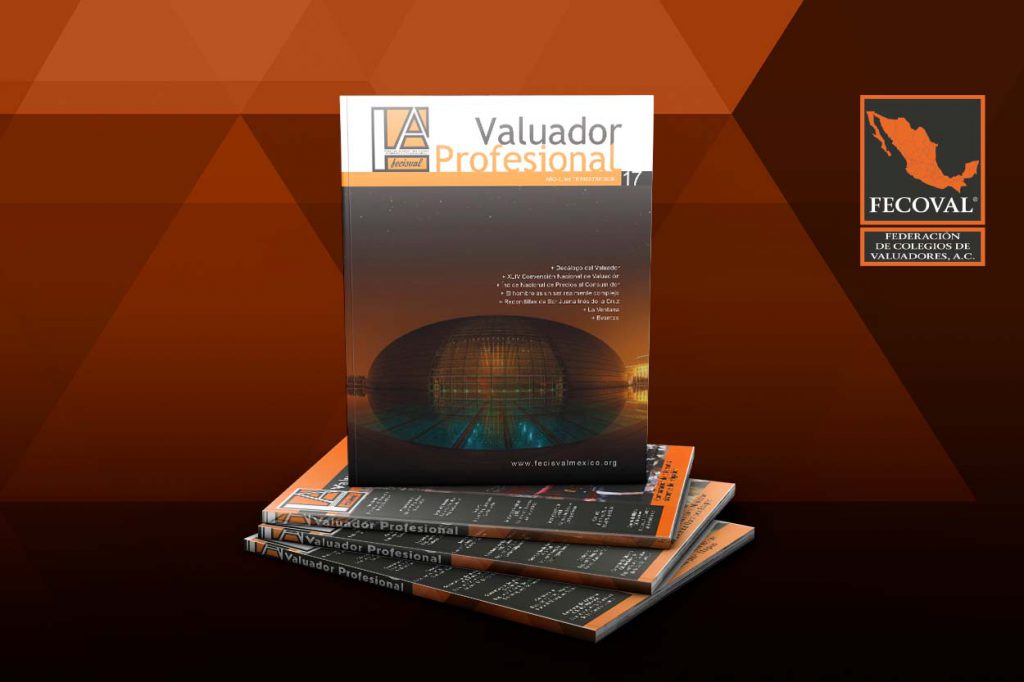Revista Valuador Profesional – Vol. 17