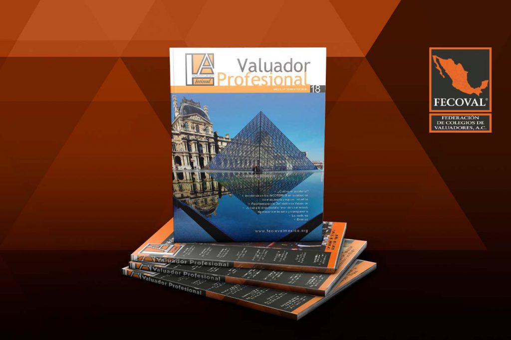 Revista Valuador Profesional – Vol. 18