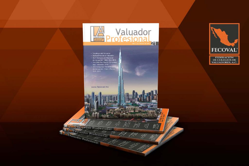 Revista Valuador Profesional – Vol. 21