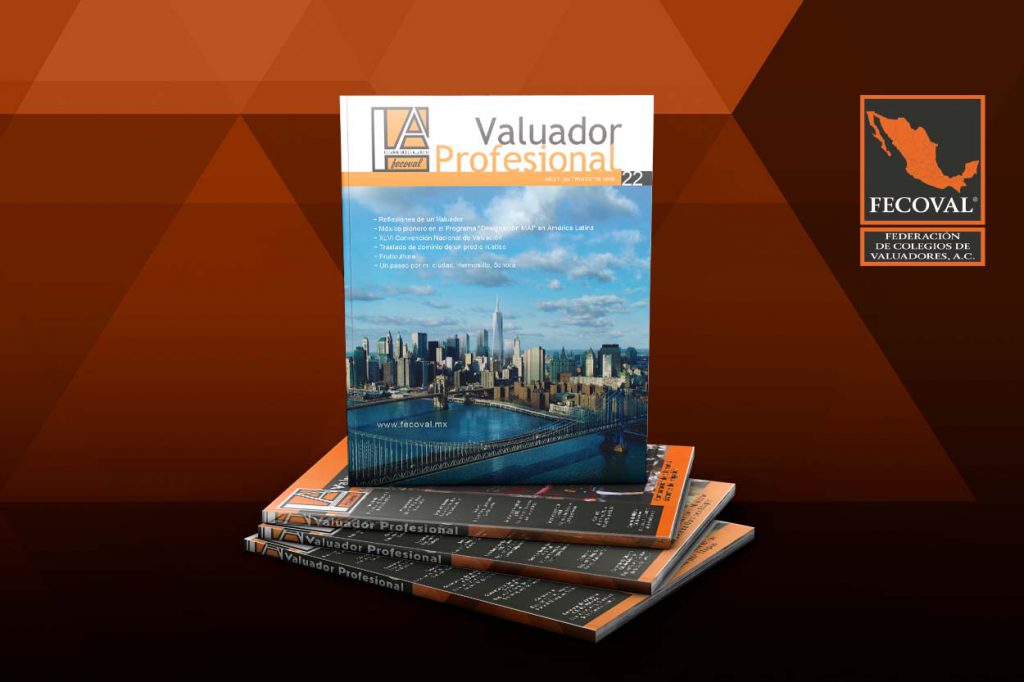 Revista Valuador Profesional – Vol. 22