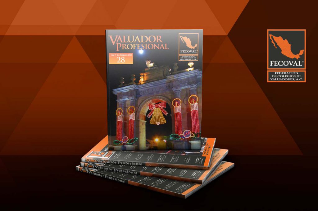 Revista Valuador Profesional – Vol. 28