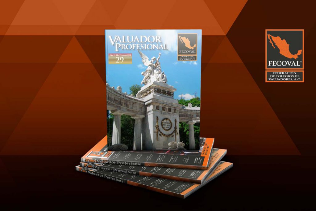 Revista Valuador Profesional – Vol. 29