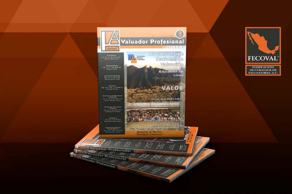 Revista Valuador Profesional – Vol. 3