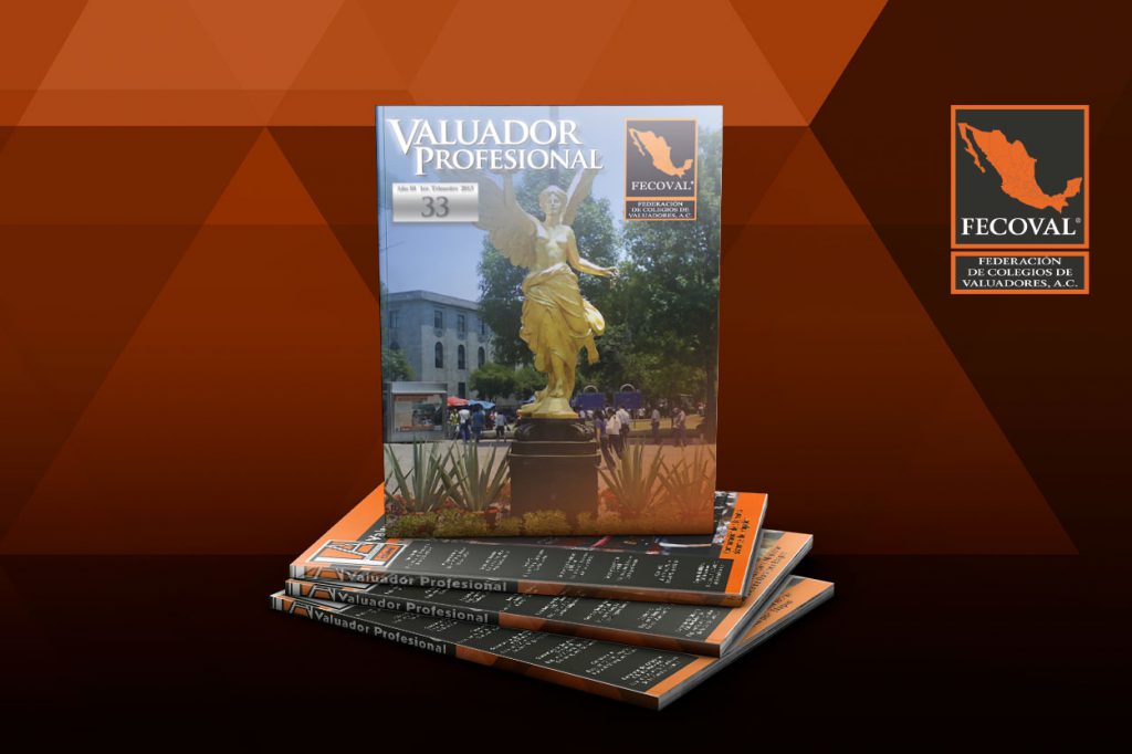 Revista Valuador Profesional – Vol. 33