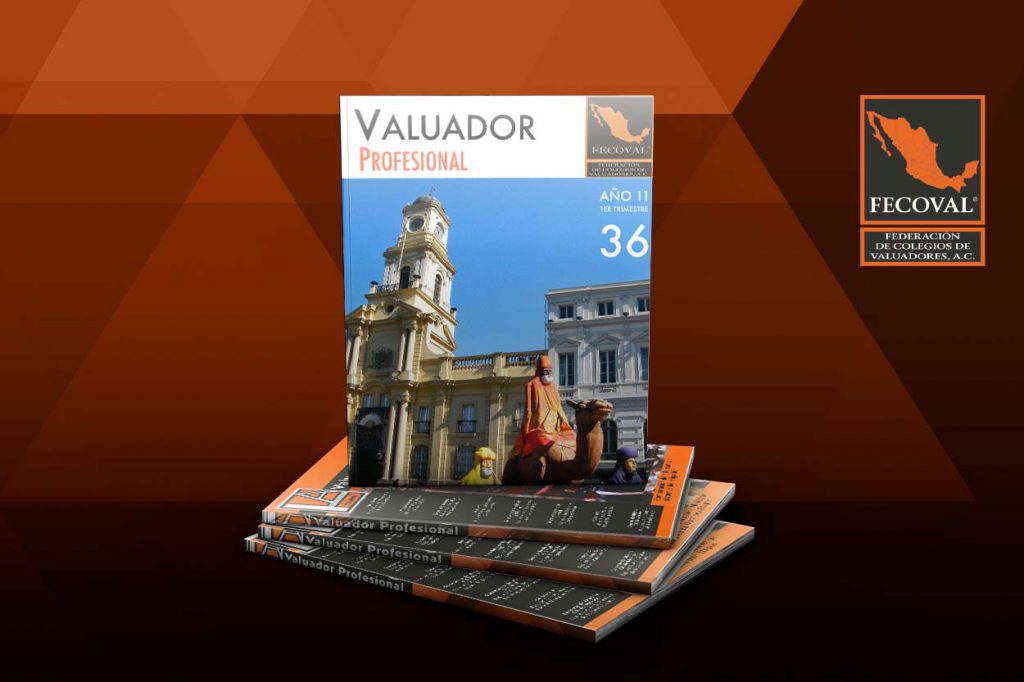 Revista Valuador Profesional – Vol. 36