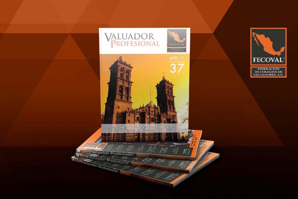 Revista Valuador Profesional – Vol. 37
