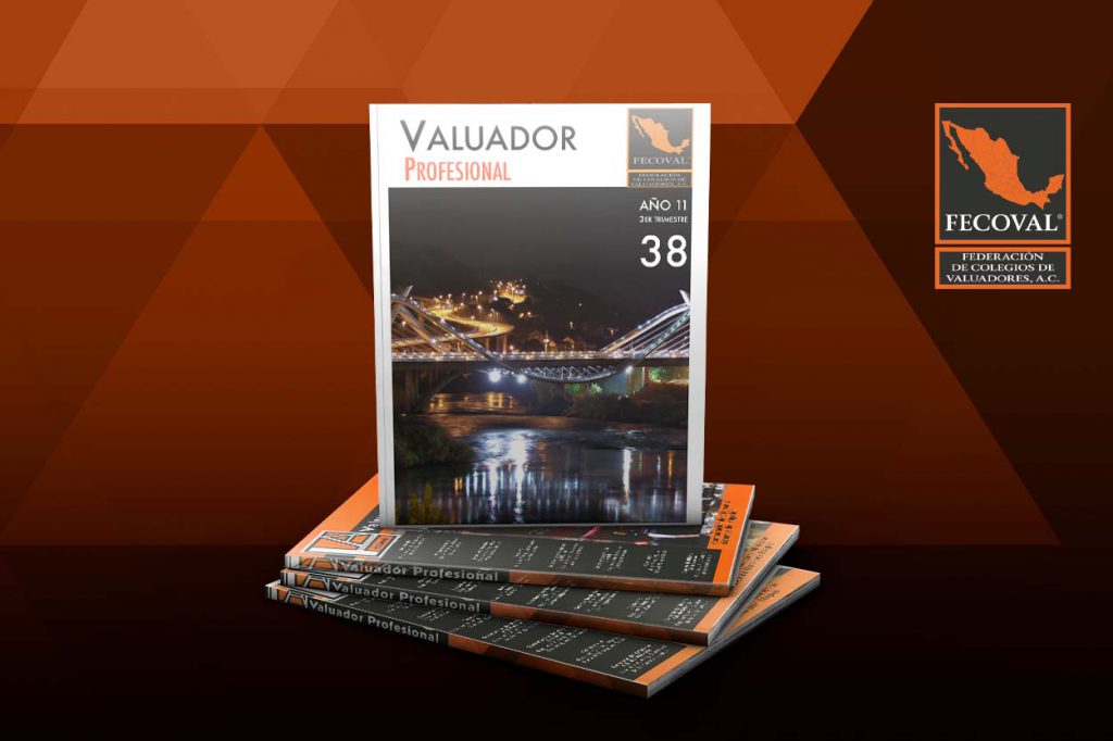 Revista Valuador Profesional – Vol. 38