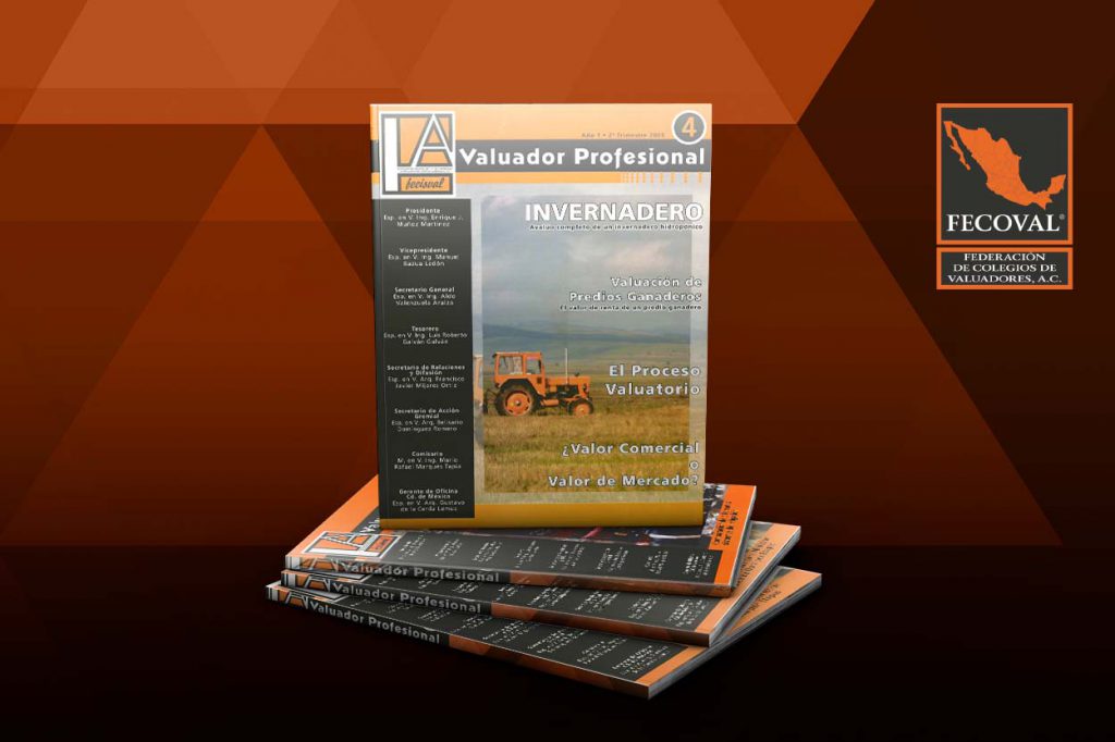 Revista Valuador Profesional – Vol. 4