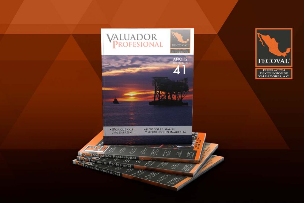 Revista Valuador Profesional – Vol. 41