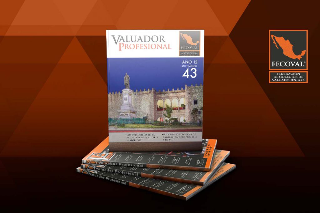 Revista Valuador Profesional – Vol. 43