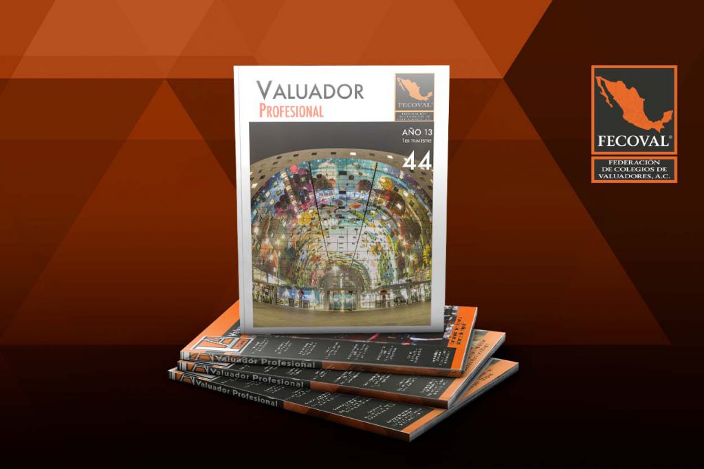 Revista Valuador Profesional – Vol. 44