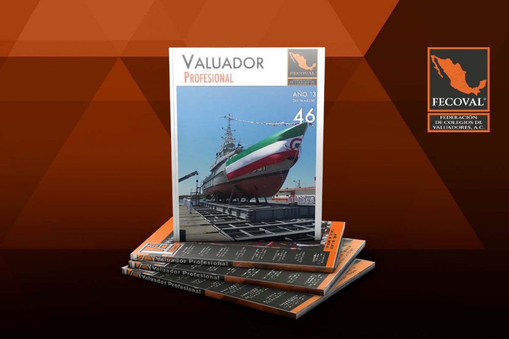 Revista Valuador Profesional – Vol. 46