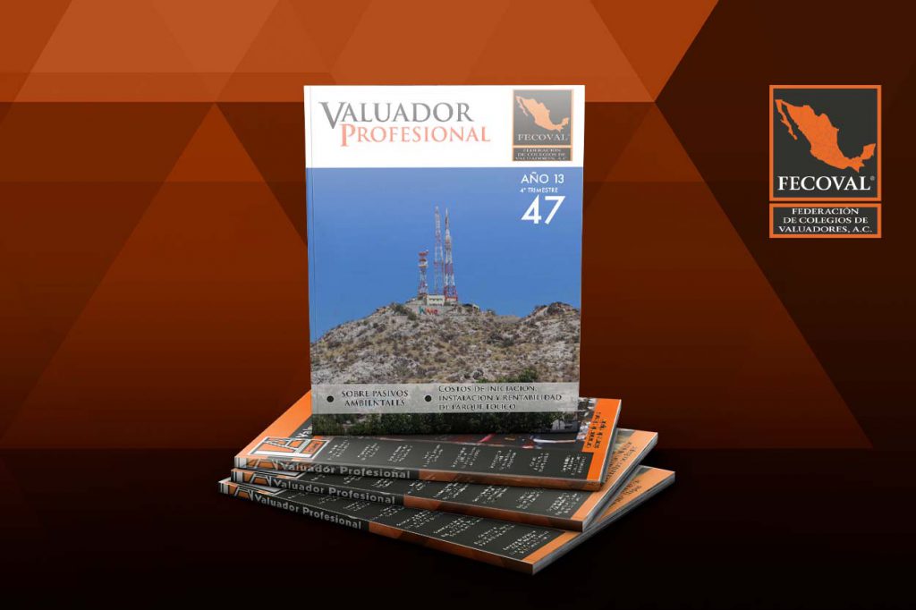 Revista Valuador Profesional – Vol. 47