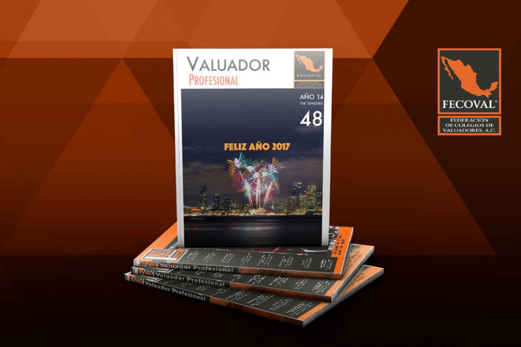 Revista Valuador Profesional – Vol. 48