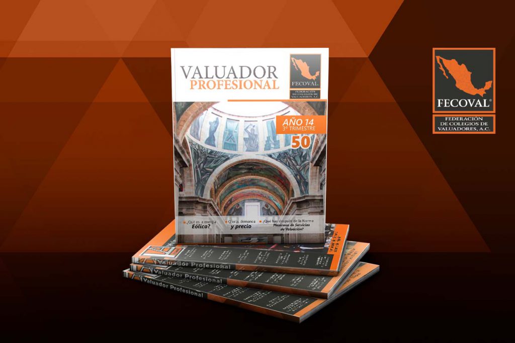 Revista Valuador Profesional – Vol. 50