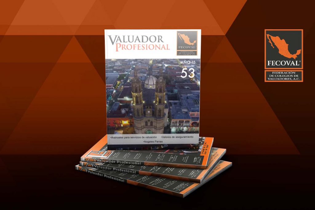 Revista Valuador Profesional – Vol. 53