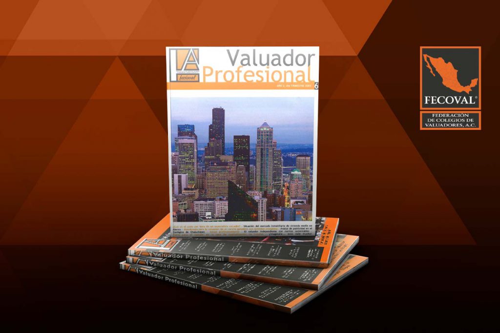 Revista Valuador Profesional – Vol. 6