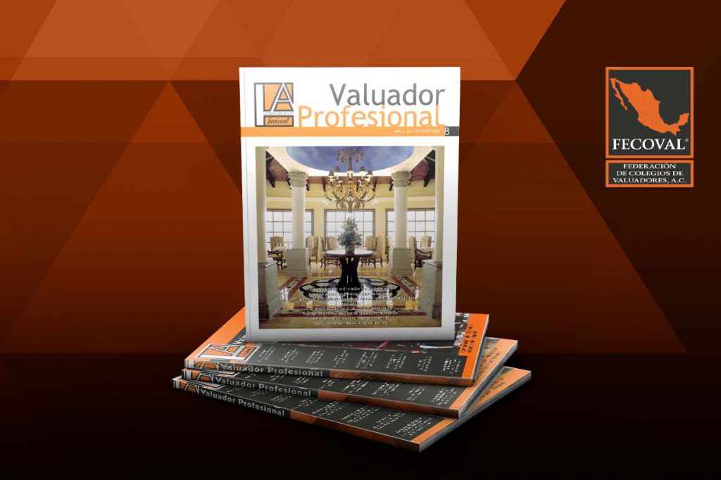 Revista Valuador Profesional – Vol. 8