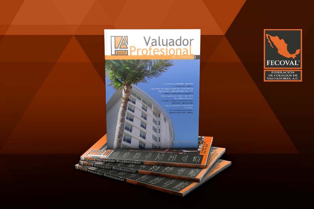 Revista Valuador Profesional – Vol. 9